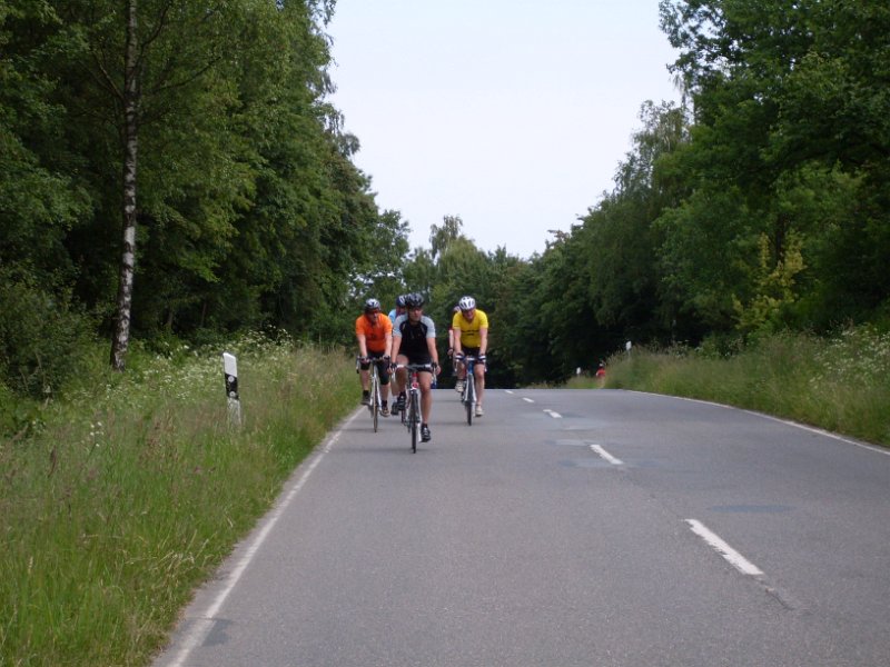 RTF Bad Oldesloe Peter 431